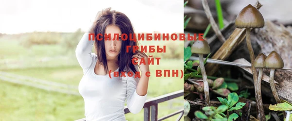 гидропоника Строитель