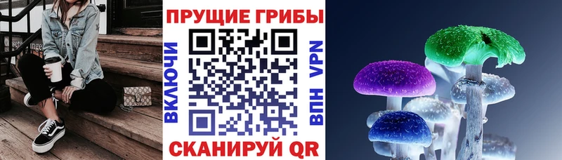 MEGA ТОР  Новотроицк  Галлюциногенные грибы Psilocybe  цена наркотик 